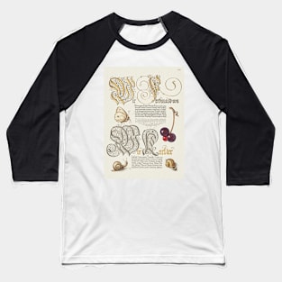 Antique 16th Century Calligraphy with Cherry, Snails, and Butterfly Baseball T-Shirt